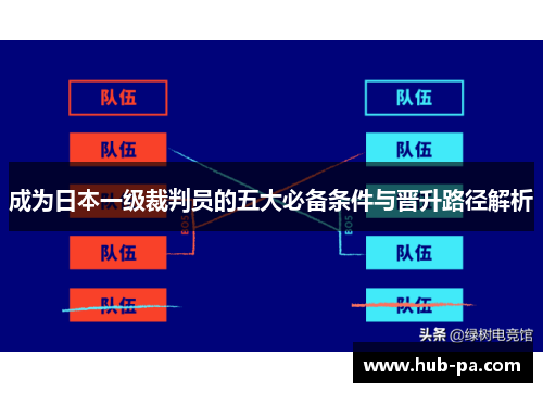 成为日本一级裁判员的五大必备条件与晋升路径解析