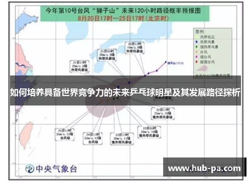 如何培养具备世界竞争力的未来乒乓球明星及其发展路径探析