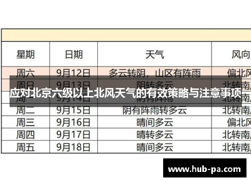 应对北京六级以上北风天气的有效策略与注意事项