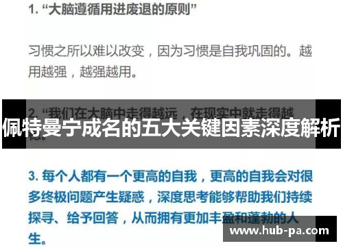佩特曼宁成名的五大关键因素深度解析