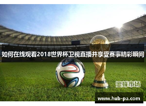 如何在线观看2018世界杯卫视直播并享受赛事精彩瞬间