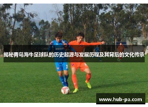 揭秘青岛海牛足球队的历史起源与发展历程及其背后的文化传承