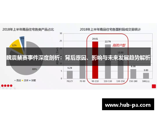 魏震禁赛事件深度剖析：背后原因、影响与未来发展趋势解析