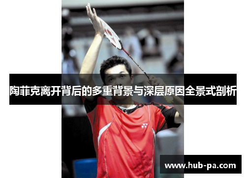 陶菲克离开背后的多重背景与深层原因全景式剖析