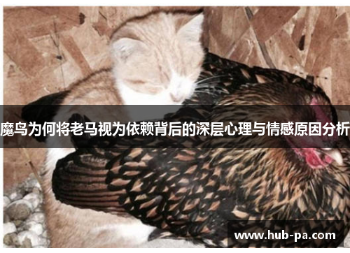 魔鸟为何将老马视为依赖背后的深层心理与情感原因分析